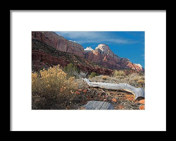Landscape Framed Print featuring the photograph Zion's Allure by Darlene Bushue