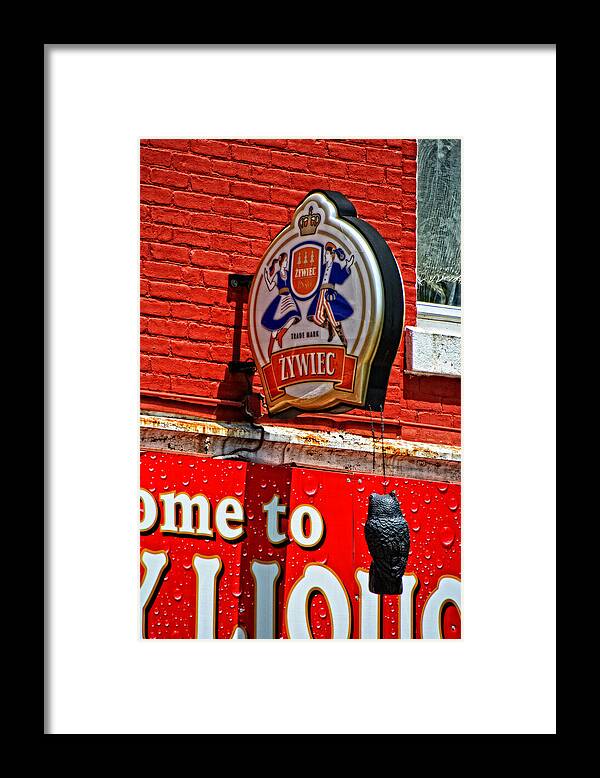 Beer Framed Print featuring the photograph Zywiec Beer by Mike Martin