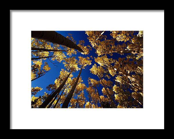 Red River Framed Print featuring the photograph Aspens At Middlefork by Ron Weathers