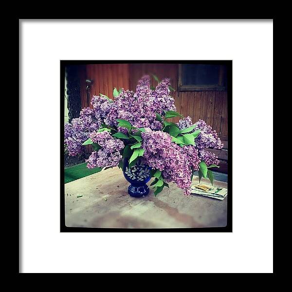 Flower Framed Print featuring the photograph # Bouquet Of #lilac #flower by Nimda Wapbbs