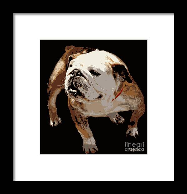 Bulldog Framed Print featuring the photograph Bulldog by Mindy Bench