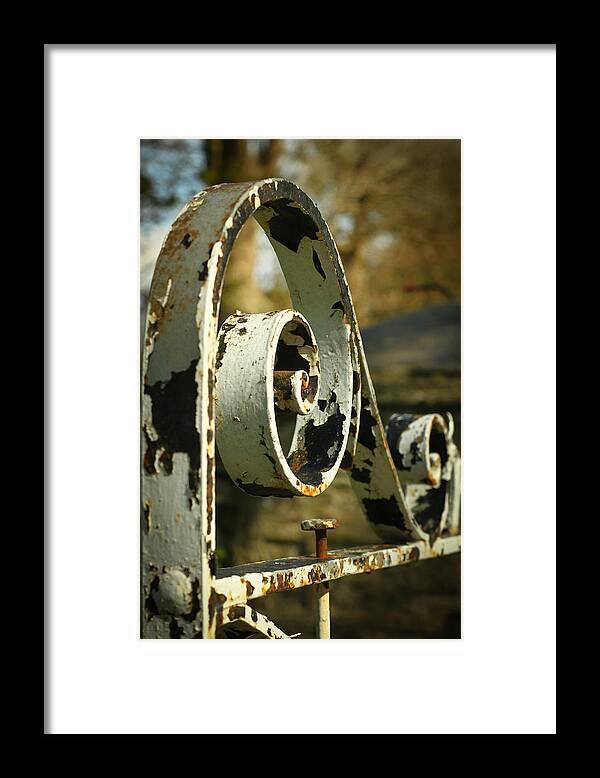 Gate Framed Print featuring the photograph Iron Gate by Jacqui Collett