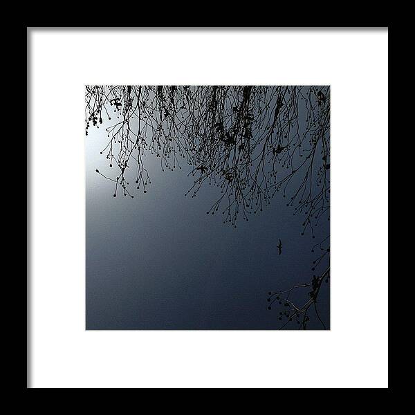 Instaminim Framed Print featuring the photograph [ Lonely Bird ]

#silhouette by Ink Blue