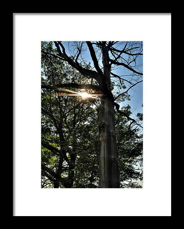  Framed Print featuring the photograph 005 Niagara Gorge Trail Series by Michael Frank Jr