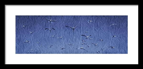 Horizontal Framed Print featuring the photograph A Group Of Birds #1 by Don Hammond