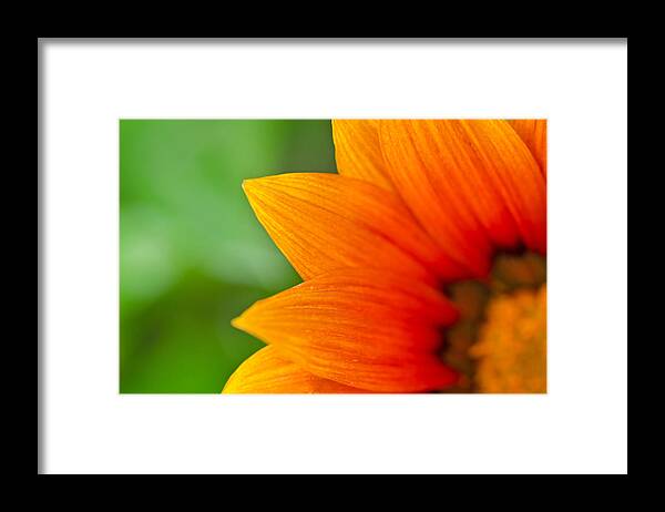 Bright Framed Print featuring the photograph A Little Shy by Margaret Pitcher