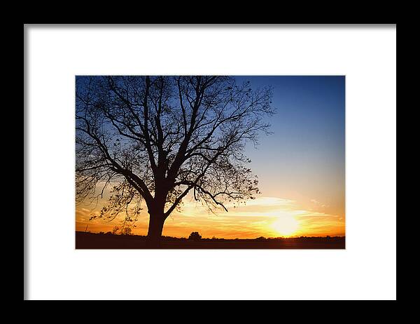 Landscape Framed Print featuring the photograph Bare Tree At Sunset by Skip Nall