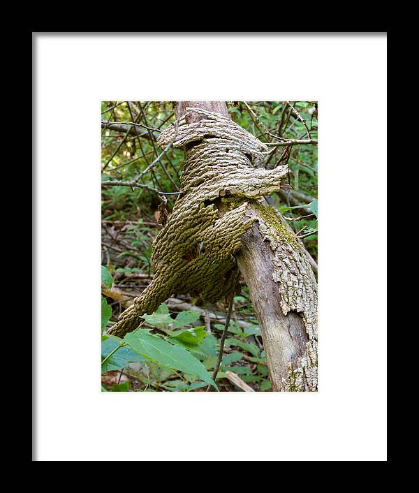 Bark Framed Print featuring the photograph Bark Creature #1 by Azthet Photography