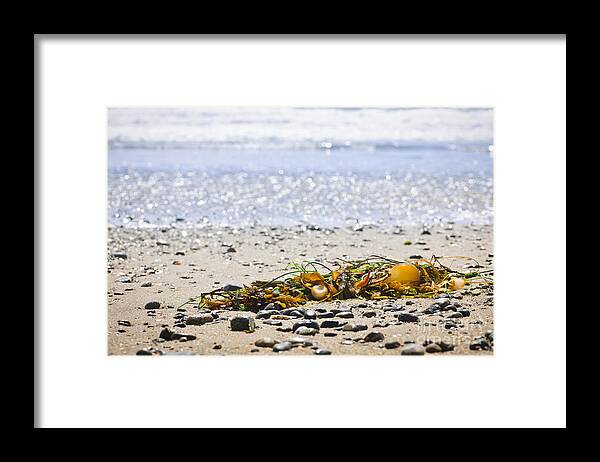 Pacific Framed Print featuring the photograph Beach detail on Pacific ocean coast 1 by Elena Elisseeva