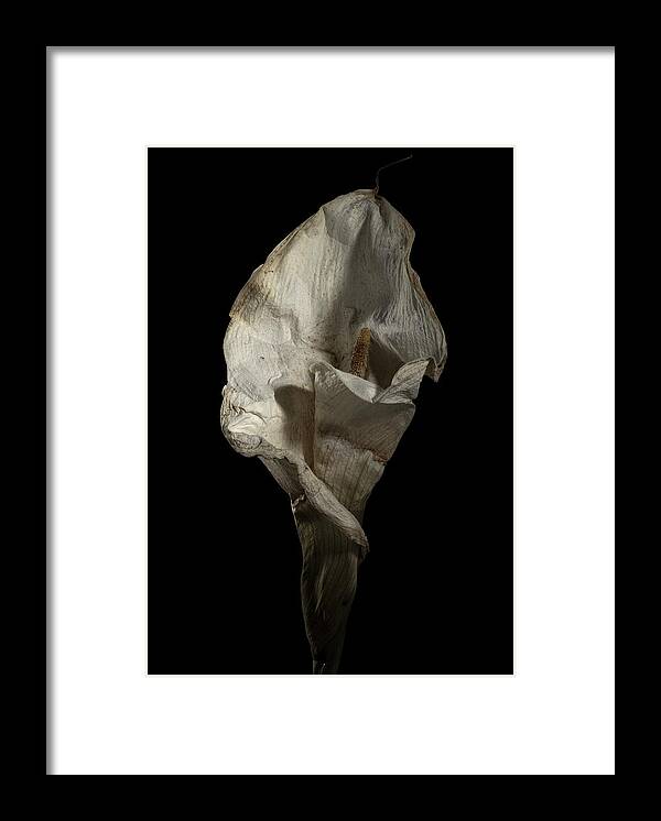 Flower Framed Print featuring the photograph Calla Lily by Nathaniel Kolby