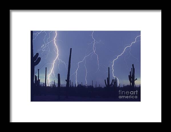 Saguaro Cactus Framed Print featuring the photograph Cloud to Ground Lightning #1 by John A Ey III and Photo Researchers