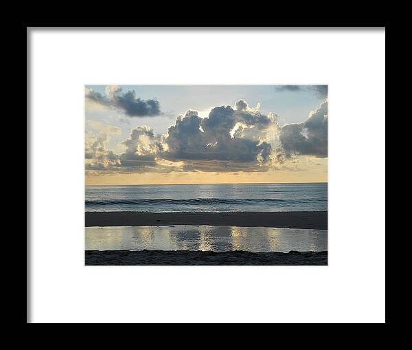Nature Framed Print featuring the photograph Comfort #1 by Sheila Silverstein