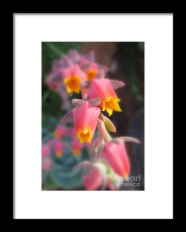 Flower Framed Print featuring the photograph Compelled by Tina Marie