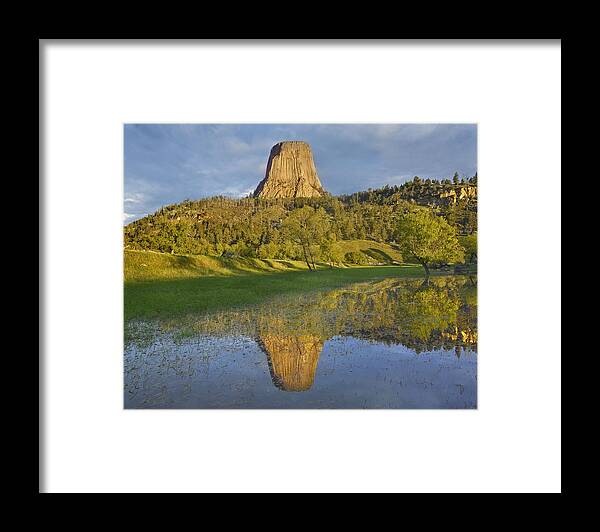 00177049 Framed Print featuring the photograph Devils Tower National Monument Showing #1 by Tim Fitzharris