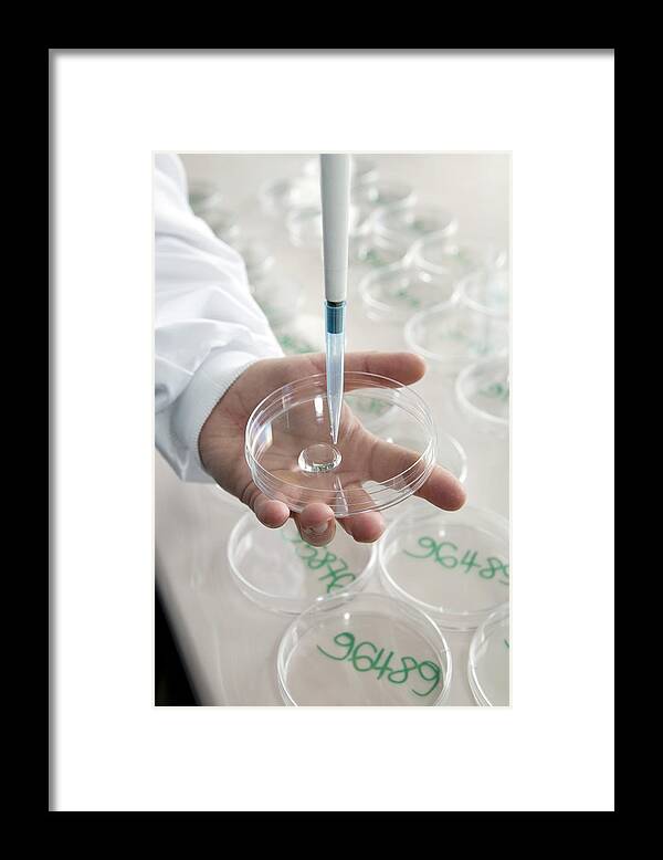 Human Framed Print featuring the photograph Drinking Water Testing #1 by Paul Rapson