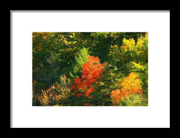 Fall Framed Print featuring the photograph Fall Colors #2 by Kathleen Struckle
