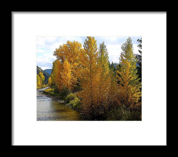 Fall Colors Framed Print featuring the photograph Fall Colors #1 by Steve McKinzie