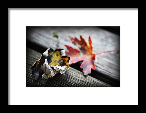 Age Framed Print featuring the photograph Fall Leaves I #1 by Kelly Hazel