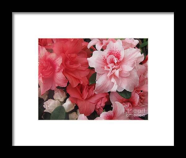 Flower Framed Print featuring the photograph Family #1 by Holy Hands