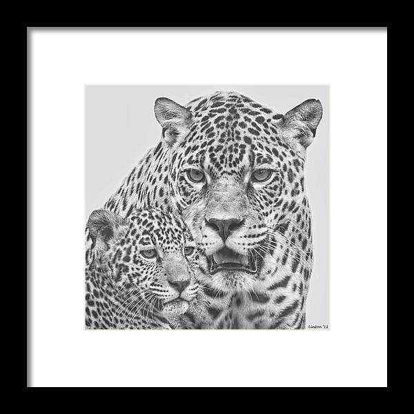 Jaguar Framed Print featuring the digital art Female Jaguar And Cub #1 by Larry Linton