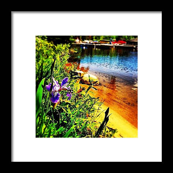 Beautiful Framed Print featuring the photograph #flower #summer #lake #cabin #beautiful #1 by Kelsey Parisien