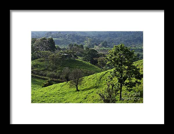 Nature Framed Print featuring the photograph Hillside in Chiriqui #1 by Heiko Koehrer-Wagner