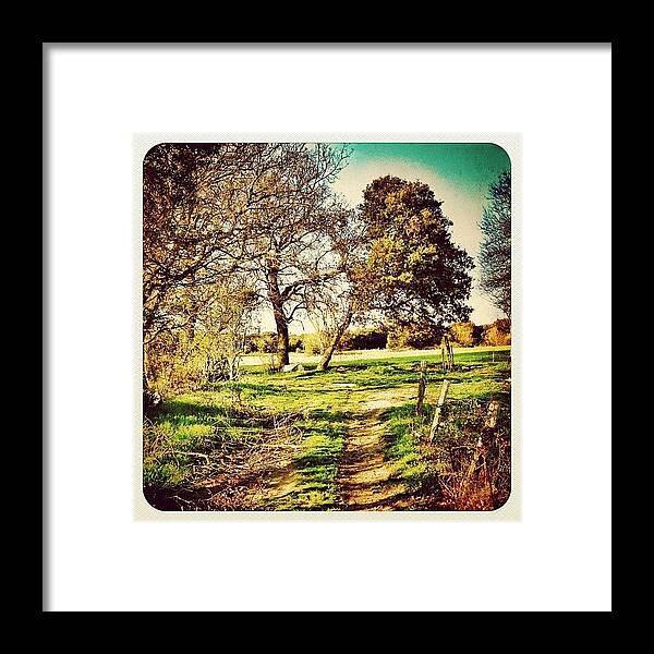 Jj Framed Print featuring the photograph #holland #dutch #iphone #iphoneonly #1 by Wilbert Claessens