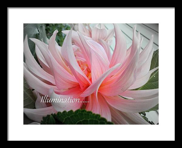 Sian Lindemann Framed Print featuring the photograph Illumination #1 by Sian Lindemann