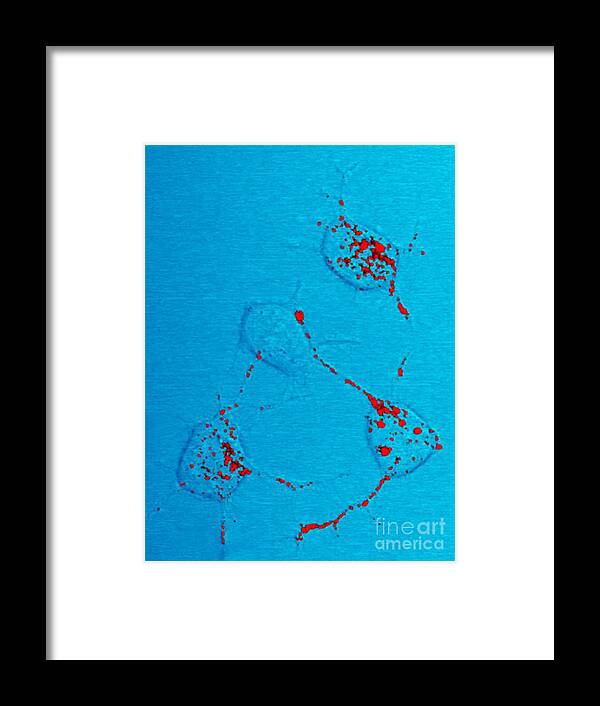 Microbiology Framed Print featuring the photograph Infectious Prion Protein #1 by Science Source