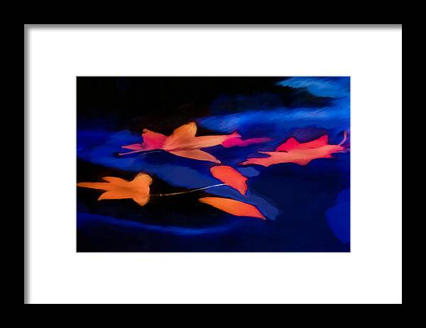 Fall Colors Framed Print featuring the photograph Leaves on Water #1 by Jim Proctor