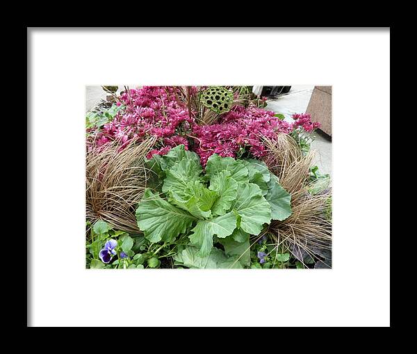 Landscape Framed Print featuring the photograph Looks Like Lettuce #1 by Val Oconnor