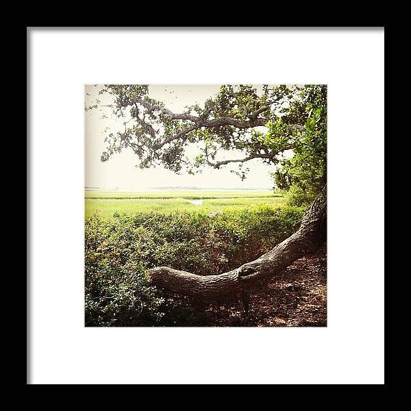 Bhi Framed Print featuring the photograph #monicawilsonphotography #bhi #1 by Monica Wilson