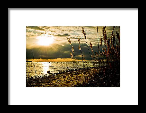 Sun Framed Print featuring the photograph New Beginnings #1 by Jason Naudi Photography