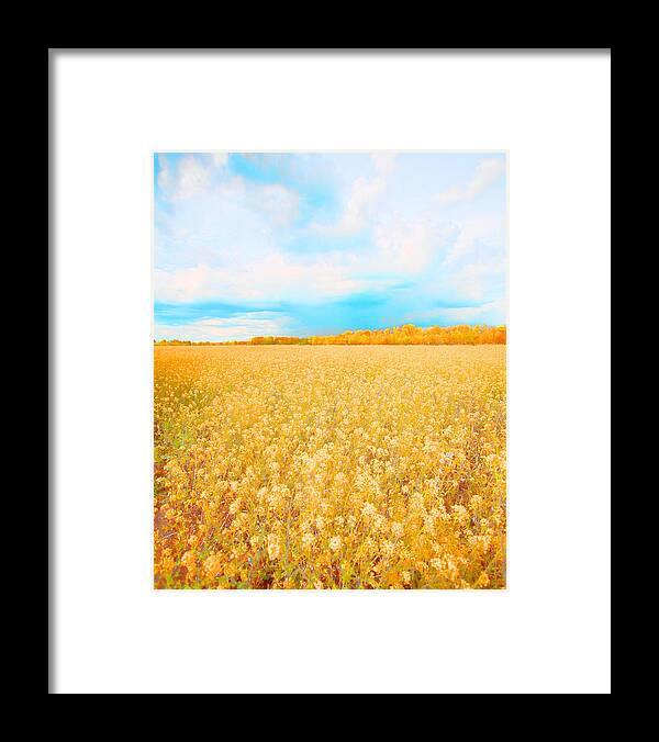 Rural Photo Framed Print featuring the photograph On a Clear Day by Bonnie Bruno