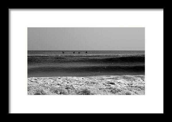 Pelicans Framed Print featuring the photograph On The Hunt #1 by Kim Galluzzo