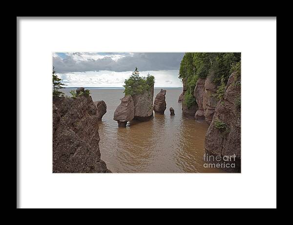 Hopewell Rocks Framed Print featuring the photograph Seastacks At Hopewell Rocks #1 by Ted Kinsman