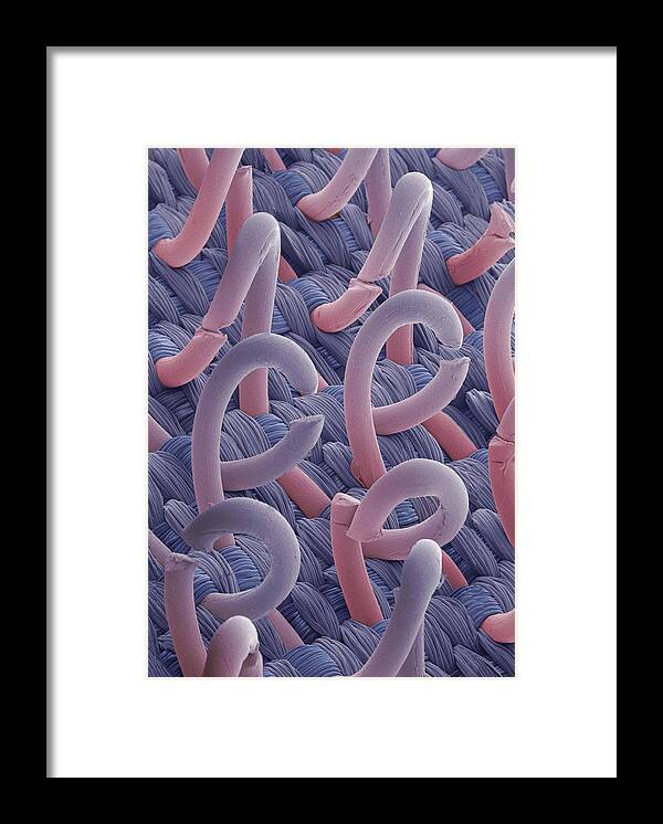 Coloured Framed Print featuring the photograph Sem Of A Fastener #1 by Power And Syred