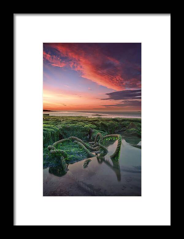 Sunrise Framed Print featuring the photograph Set Me Free #1 by Mark Leader