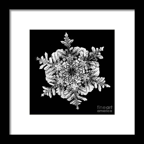Snowflake Framed Print featuring the photograph Snowflake #1 by Science Source