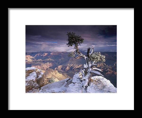 00173205 Framed Print featuring the photograph South Rim Of Grand Canyon #1 by Tim Fitzharris
