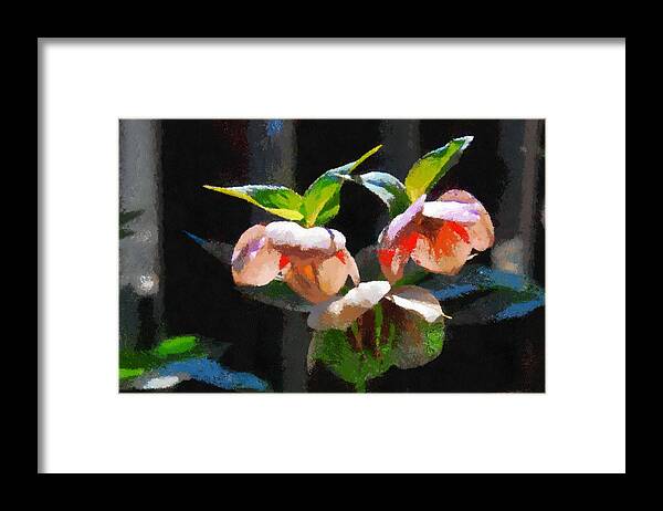 Colourful Framed Print featuring the digital art Sunlit hellabores #1 by Fran Woods