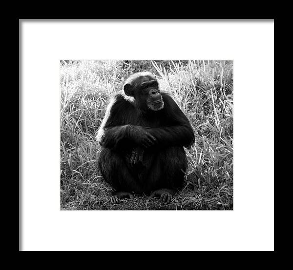 Fine Art Photography Framed Print featuring the photograph Thinking #1 by David Lee Thompson