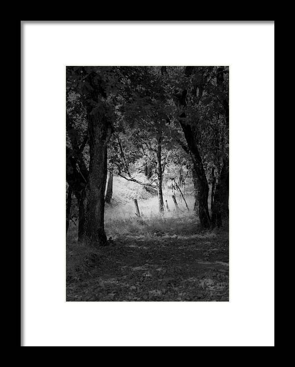 Landscape Framed Print featuring the photograph Through the Trees #1 by Kathleen Grace