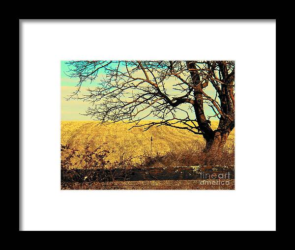 Scenic Framed Print featuring the photograph Tree By The Fence #1 by Joyce Kimble Smith