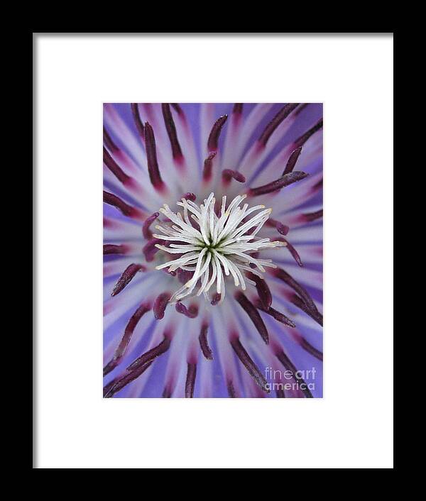 Flower Framed Print featuring the photograph Underrated by Tina Marie