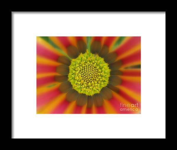 Flower Framed Print featuring the photograph Unstoppable by Tina Marie