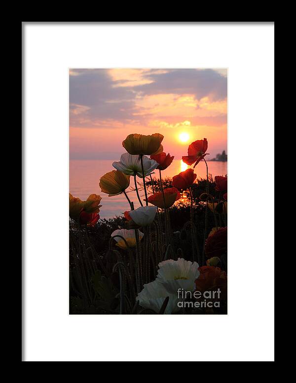 Sunset Framed Print featuring the photograph Vertical #1 by Milena Boeva