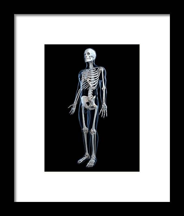 Vertical Framed Print featuring the digital art Human Skeleton, Artwork #10 by Sciepro