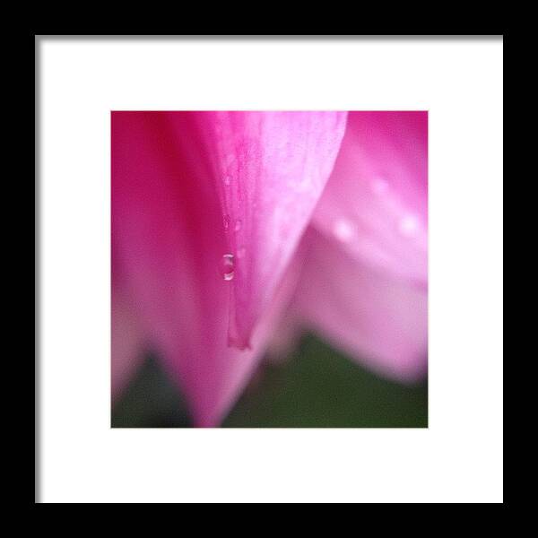 Waterdrop Framed Print featuring the photograph #13 by Elisabeth Samuelsson