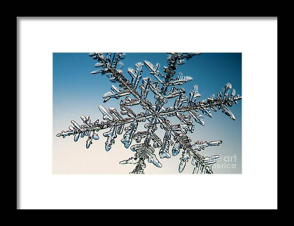 Snowflake Framed Print featuring the photograph Snowflake #137 by Ted Kinsman